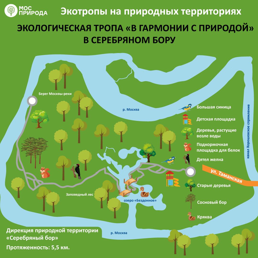 Вдоль реки и сквозь заповедный лес. Где в Москве любоваться природой -  МОСКВА Новости