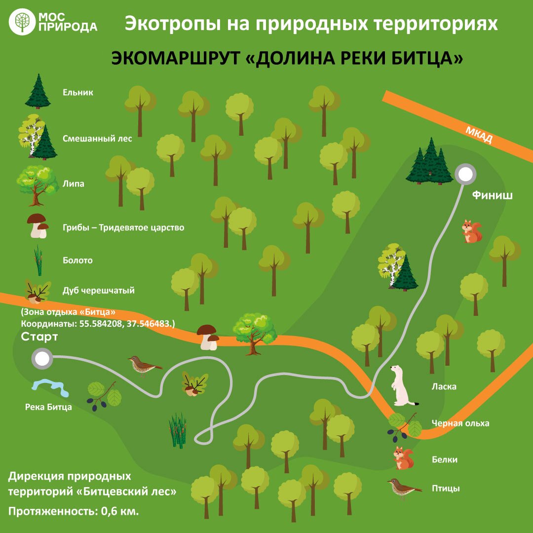 Вдоль реки и сквозь заповедный лес. Где в Москве любоваться природой -  МОСКВА Новости